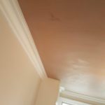 JF-plastering example4