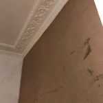 JF-plastering example40